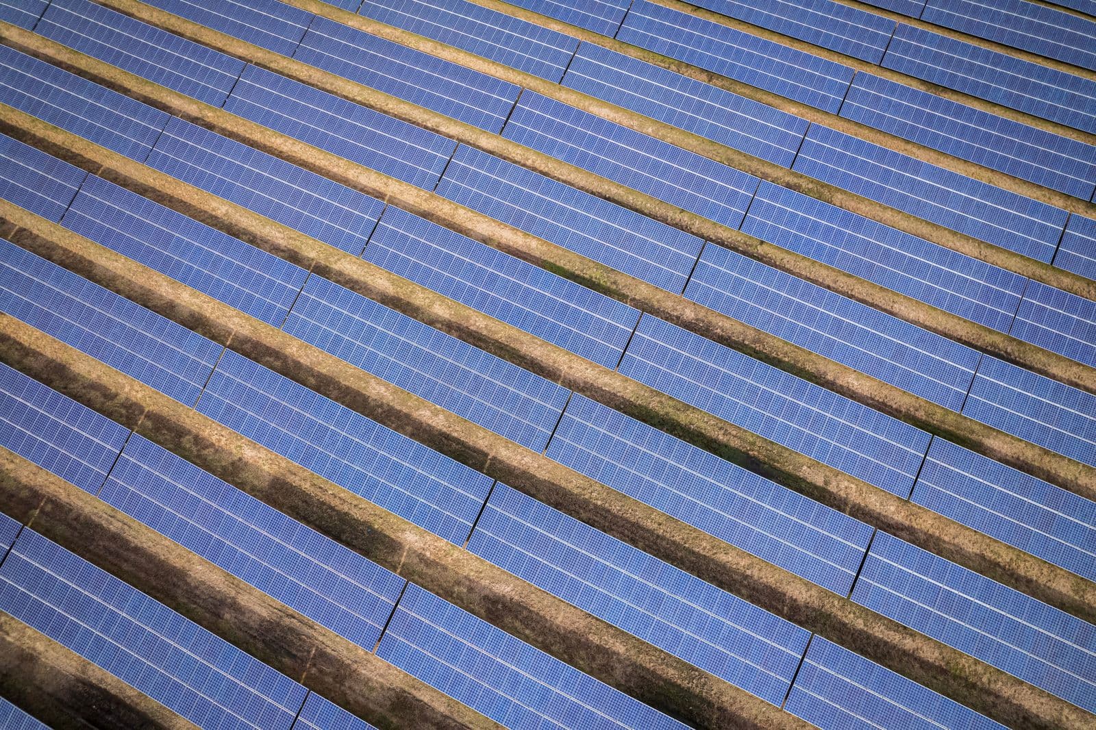 Solarparkpflege – Green Guard GmbH
