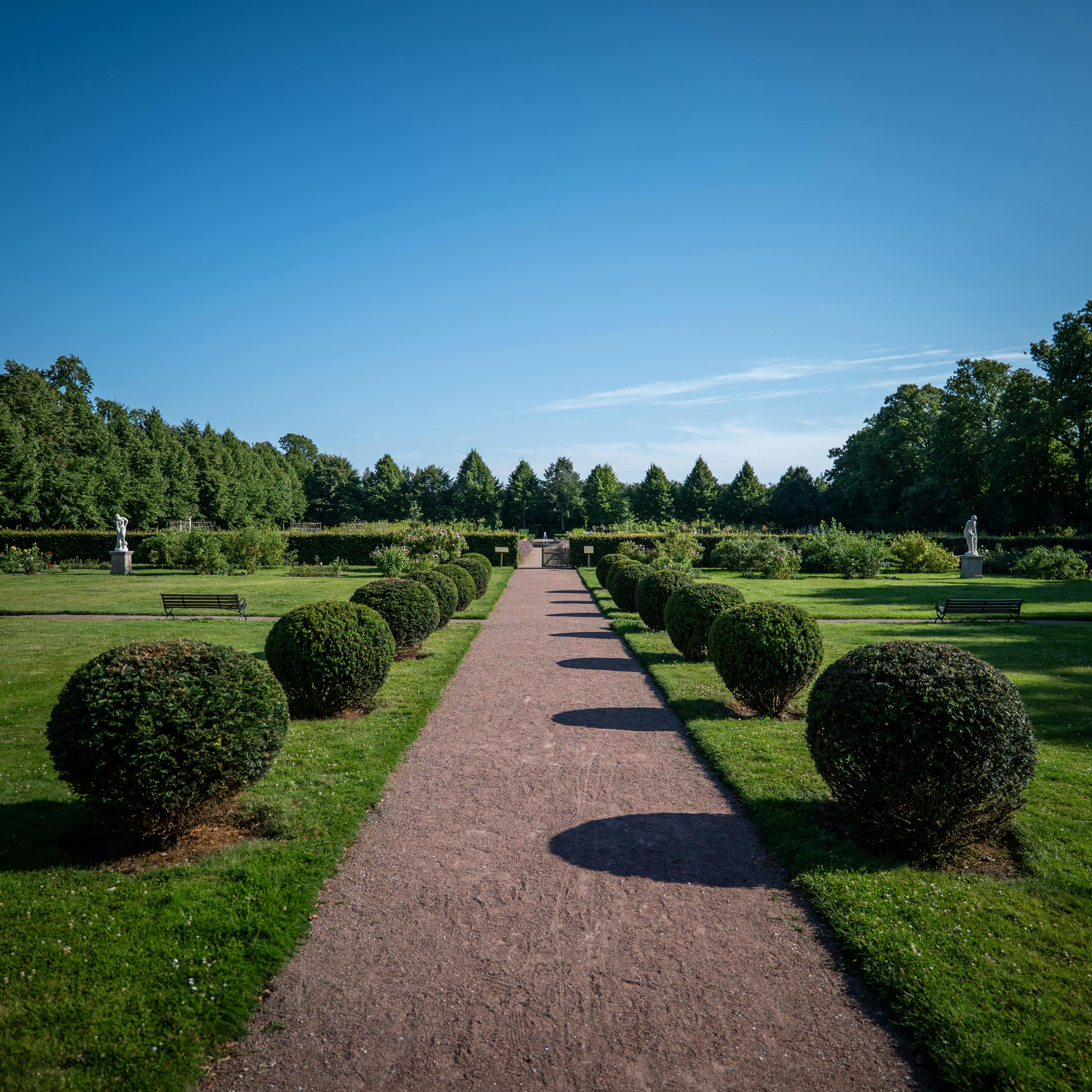 Gepflegte Hecke und Weg
